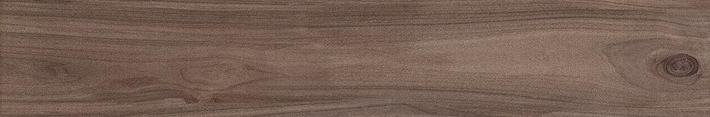 AC 318002 (18x113)