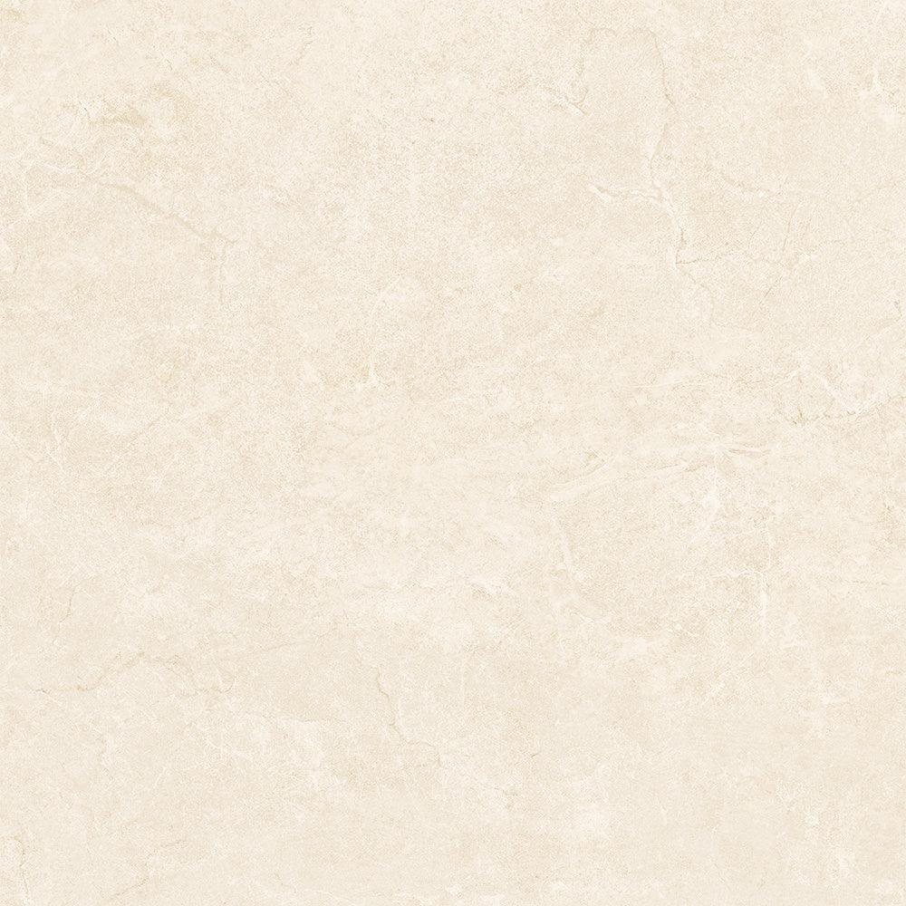 HD 557004 (58X58)