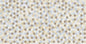 SAFIRA BEIGE