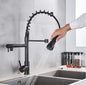 KITCHEN FAUCET TFA -010-BL