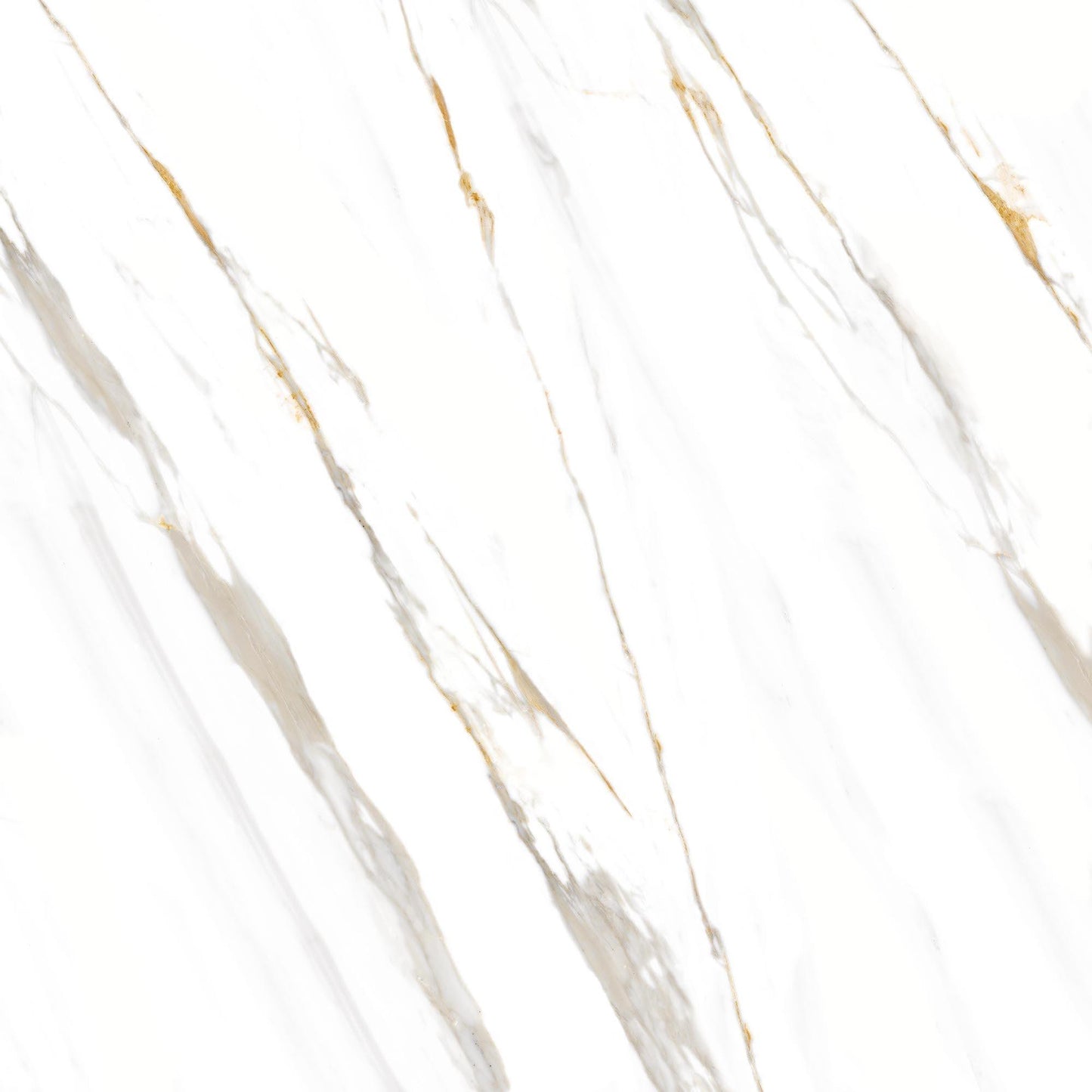 PR 374002 (74.50X74.50)