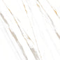 PR 374002 (74.50X74.50)