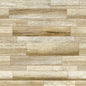 HD 90064 (58x58)