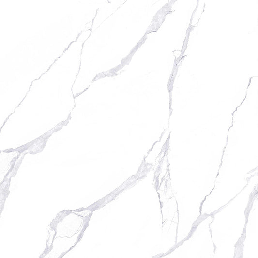 PR 574005 (74.50X74.50)