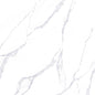 PR 574005 (74.50X74.50)