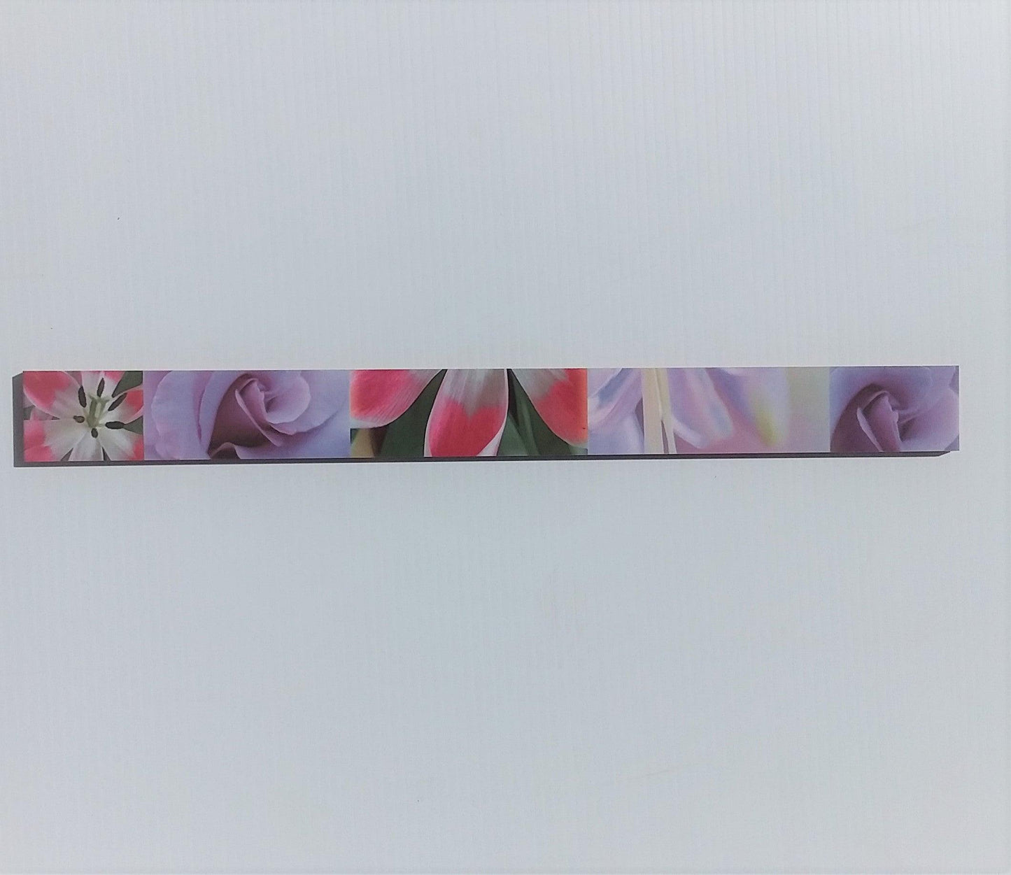 L MALVA BORDER (4.7x50)
