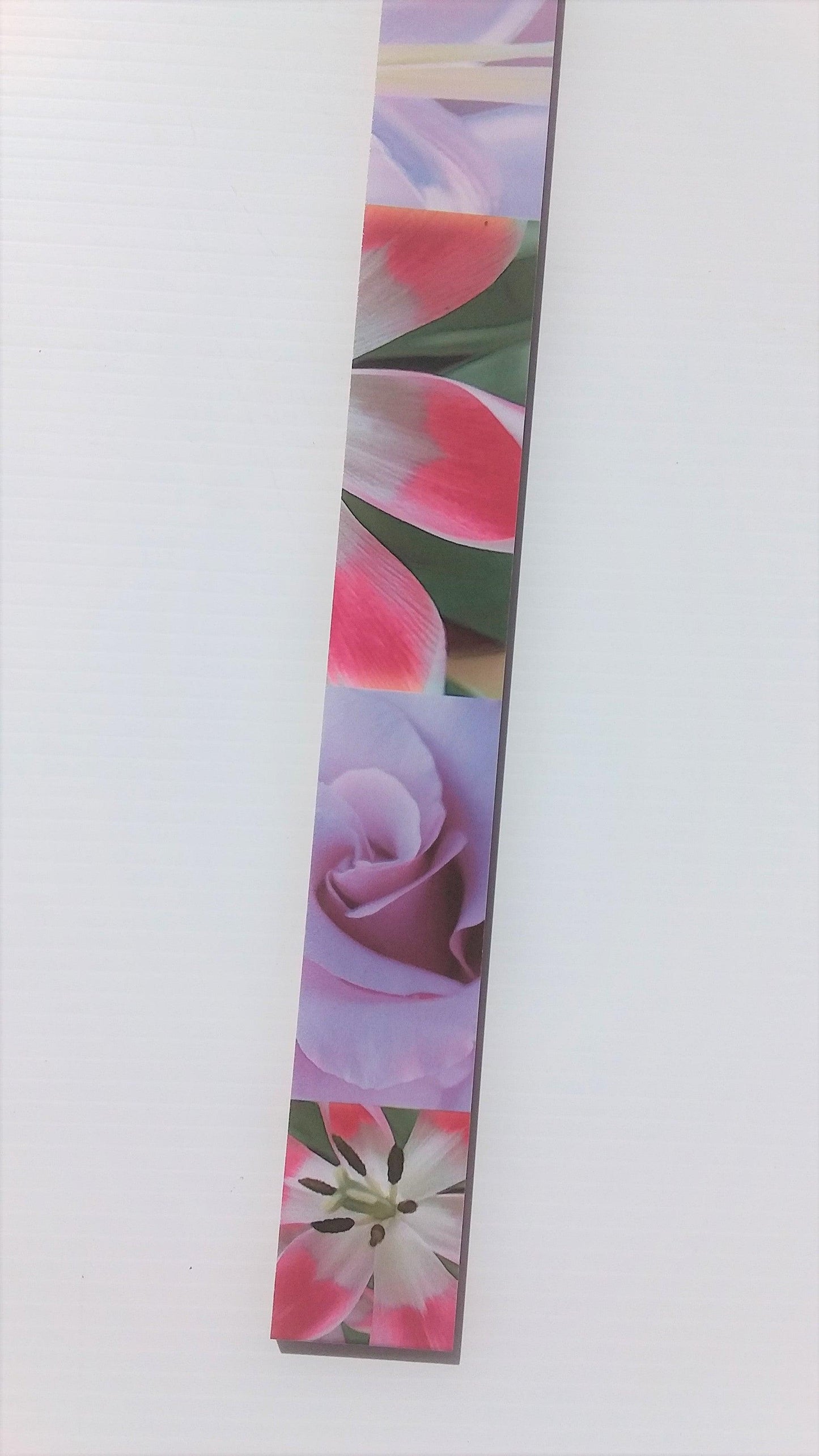 L MALVA BORDER (4.7x50)