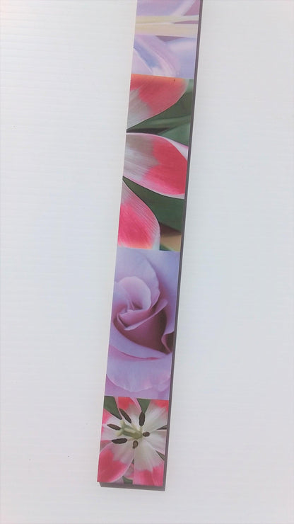 L MALVA BORDER (4.7x50)