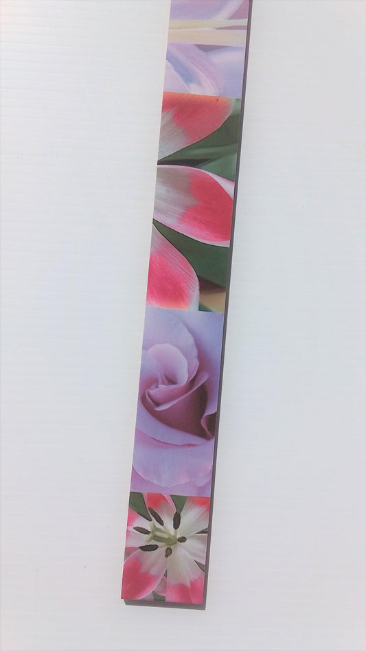 L MALVA BORDER (4.7x50)