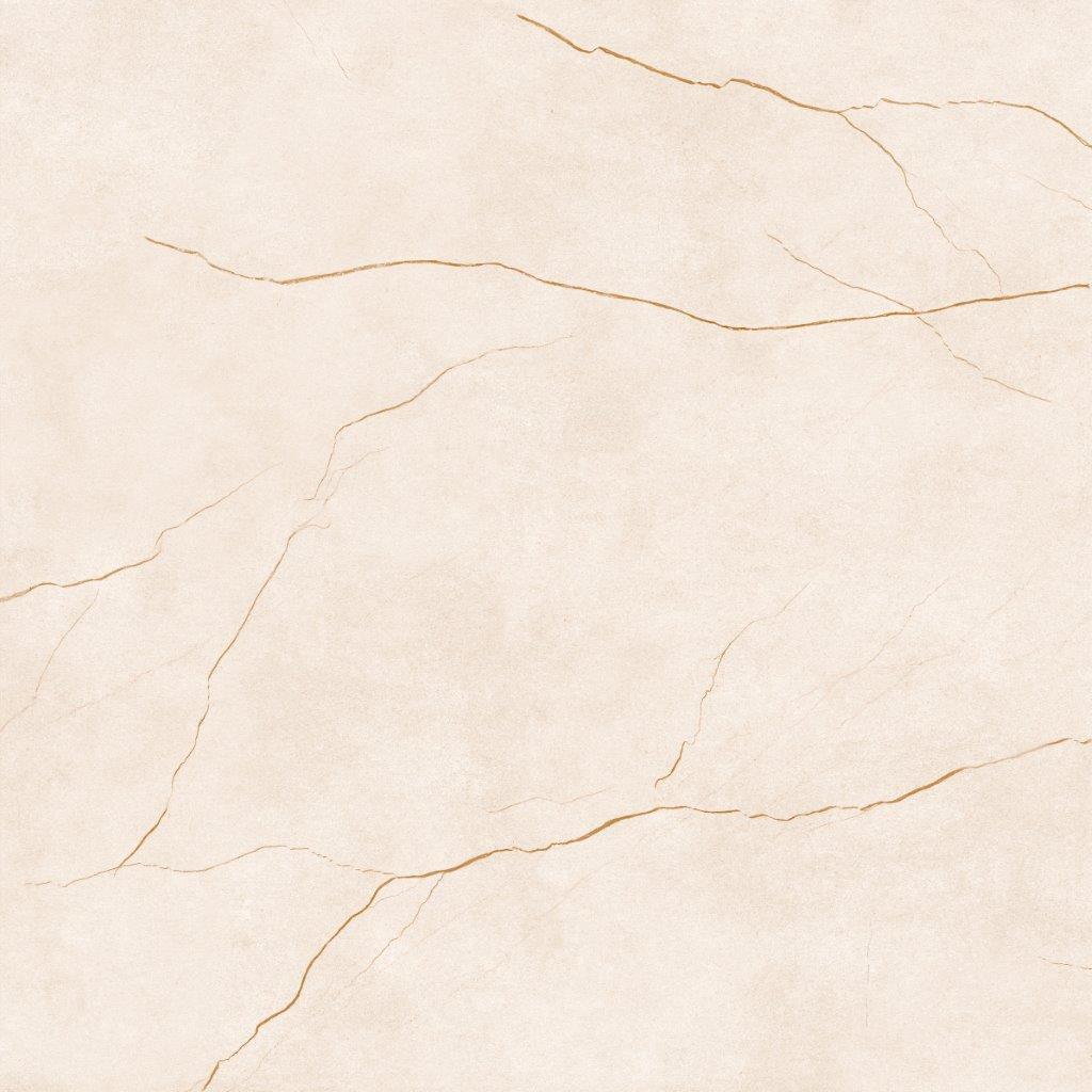 PR 374006 (74.50X74.50)