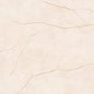 PR 374006 (74.50X74.50)